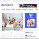 Stop Snoring Niche Blog 