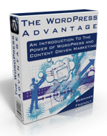 The WordPress Advantage 