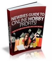 Newbies Guide To Online Hobby Profits