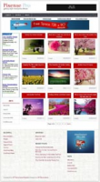 Pixense Pro WordPress Theme 