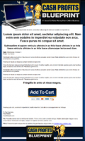 Cash Profits Blueprint Template 