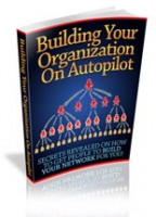 Building Your Organization On Autopilot 